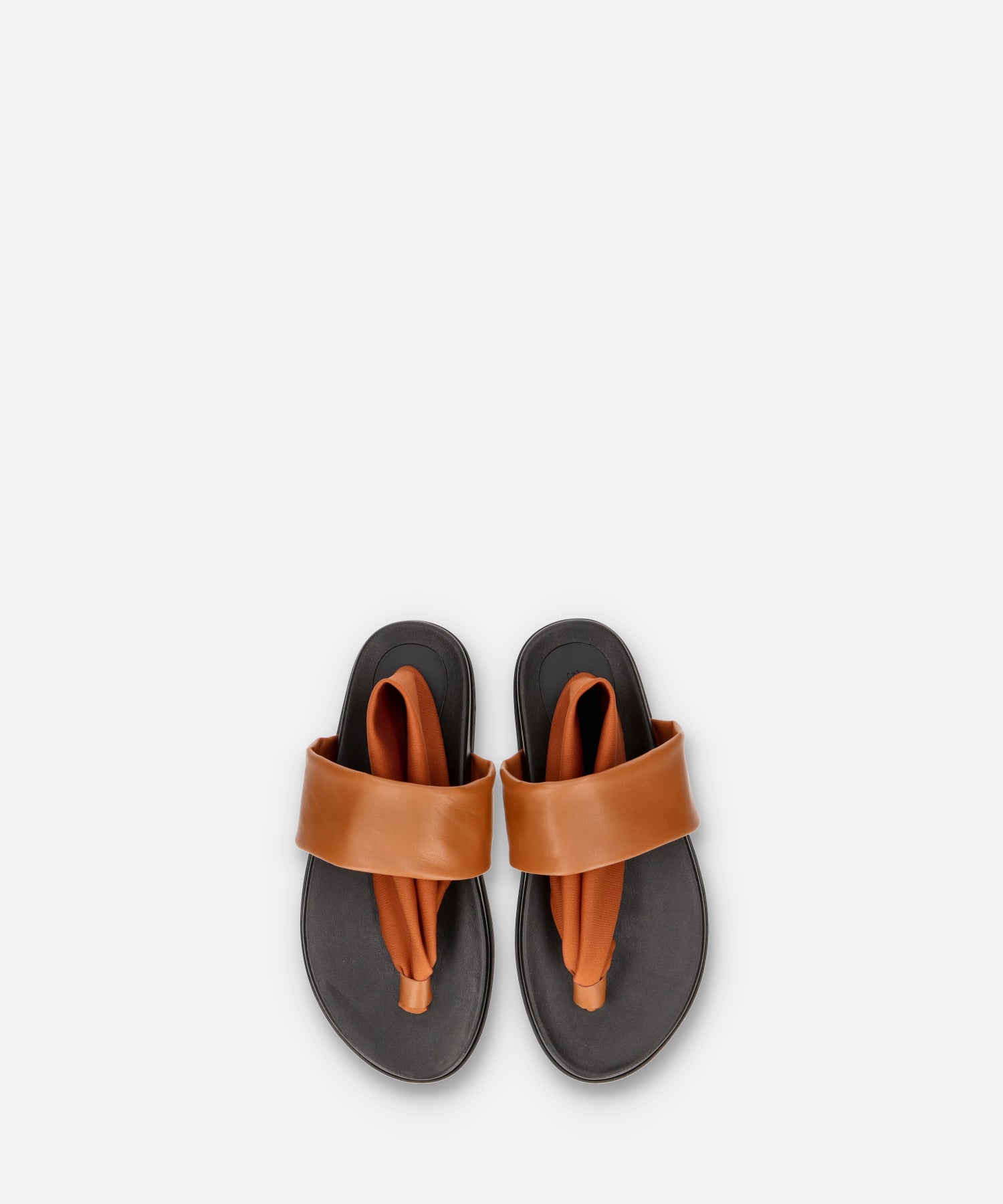 SP-1705 Camel - SPINGLE