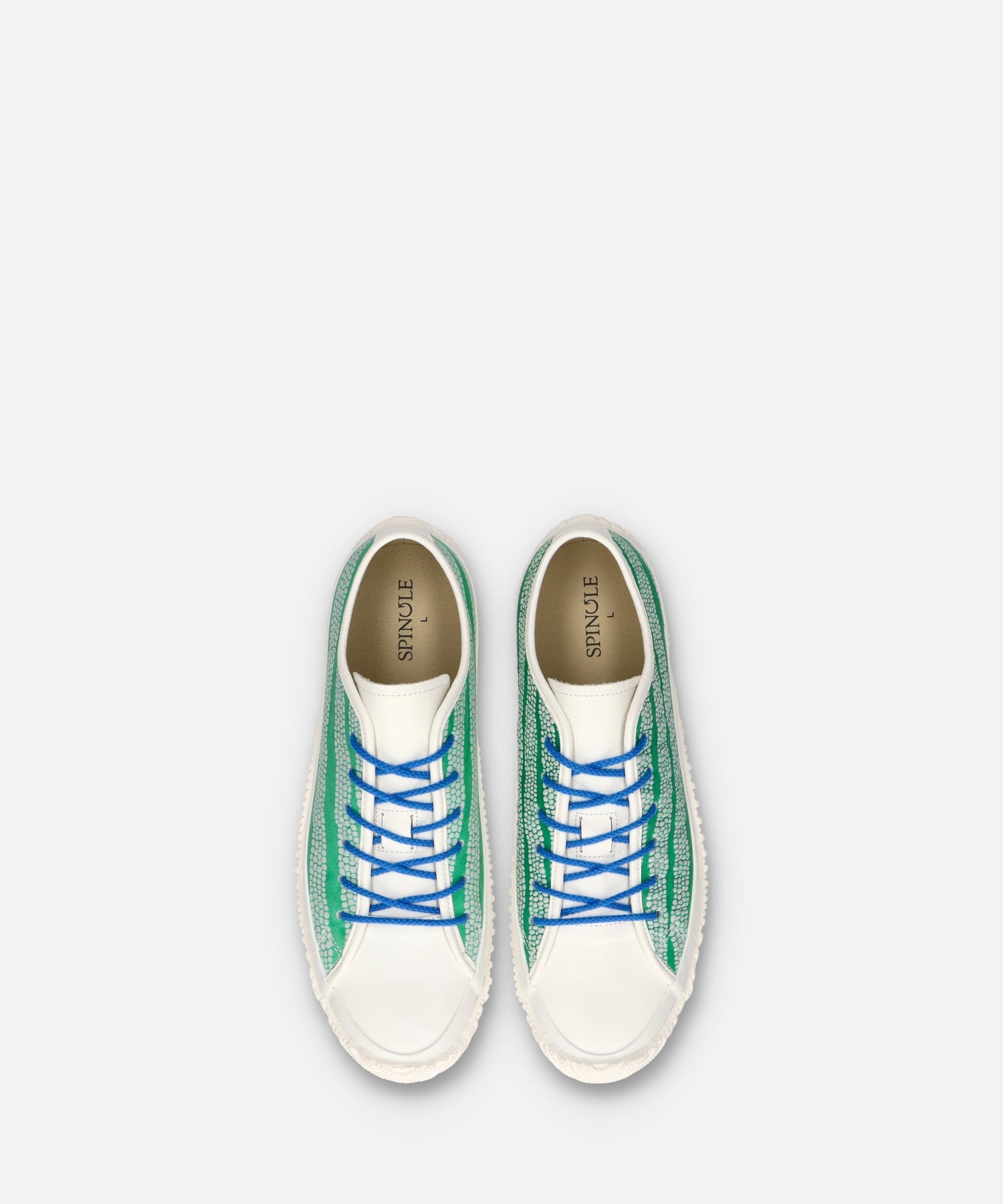 SP-1042 Green - SPINGLE