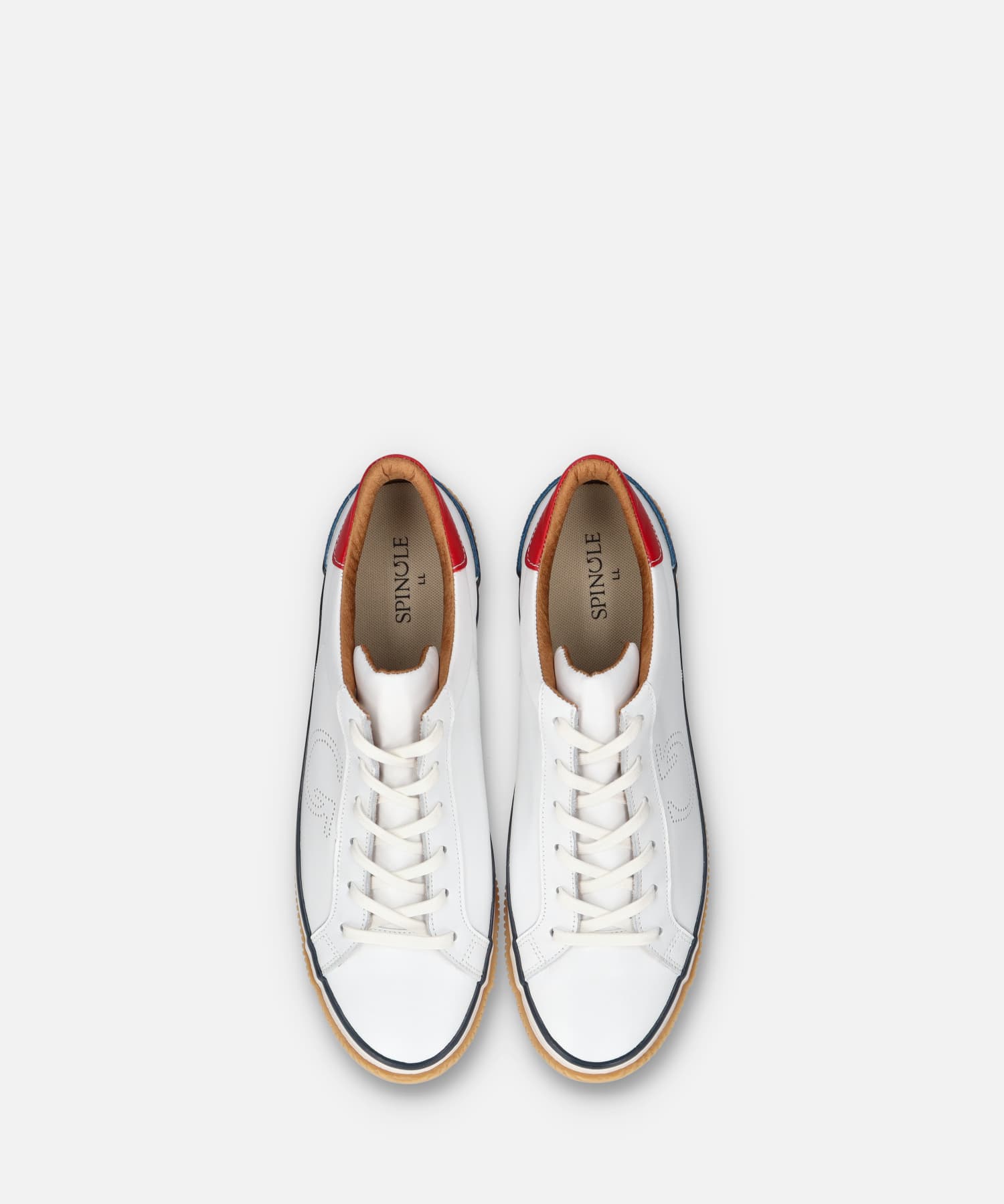 SP-1050 Tricolor - SPINGLE