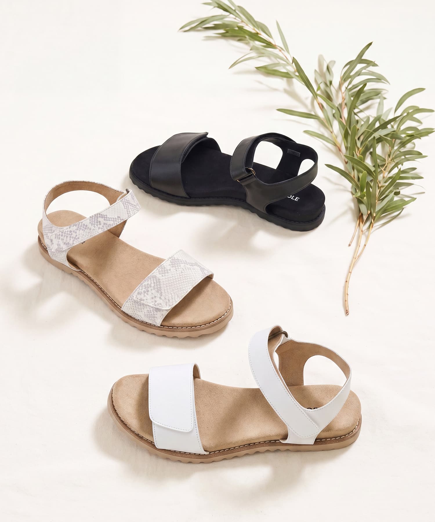 SP-1725 Off White - SPINGLE